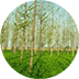 istock 12802036241